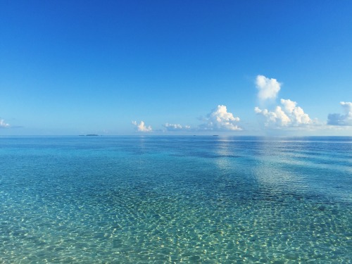 teafume:shades of transparent blue. maldives, summer 2015.