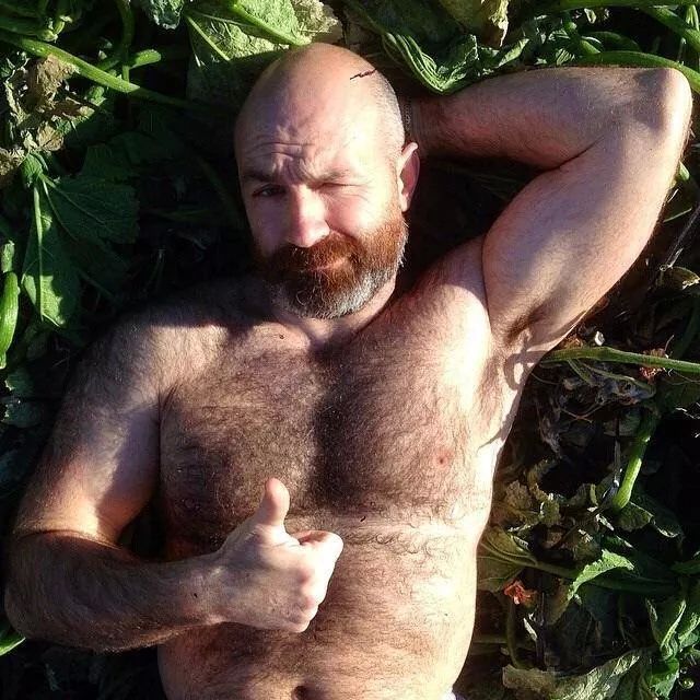 lovethemveryfurry:  planesdrifter:  Follow planesdrifter: trueTHAT for all natural,