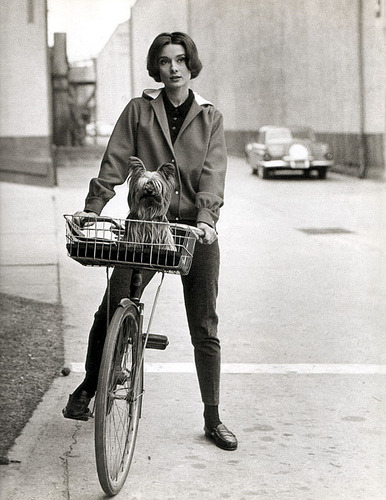 lemondeabicyclette: Audrey Hepburn