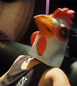 vegemiteash:   lukechemmings-deactivated201410:  @5SOS: Gangsta chicken  how many animal costumes does this band own  