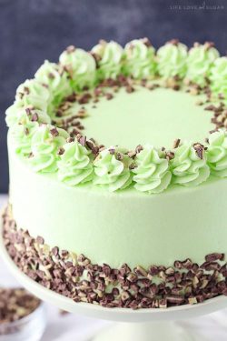 sweetoothgirl:   MINT CHOCOLATE CHIP LAYER