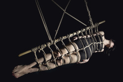 evilthell:  My rope and photo, more at http://evilthell.comボクの写真。http://evilthell.com