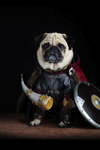 hawkandhandsaw-az:  The Pugs of Middle Earth: Faramir, Frodo, Boromir, Thorin 