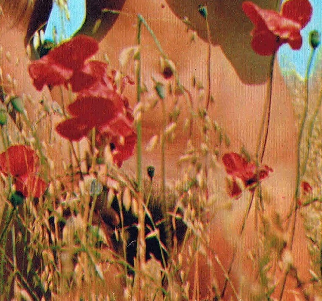 bigbennklingon:Lili Veldi