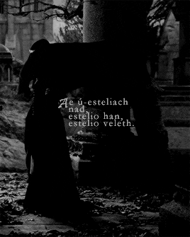 rhivendell:middle-earth meme: two couples [½] ->arwen and aragorn For a moment Aragorn gazed in s