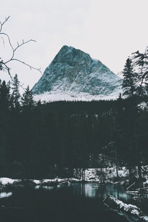 avenuesofinspiration - Canmore, Canada | @Mammothstock | AOI