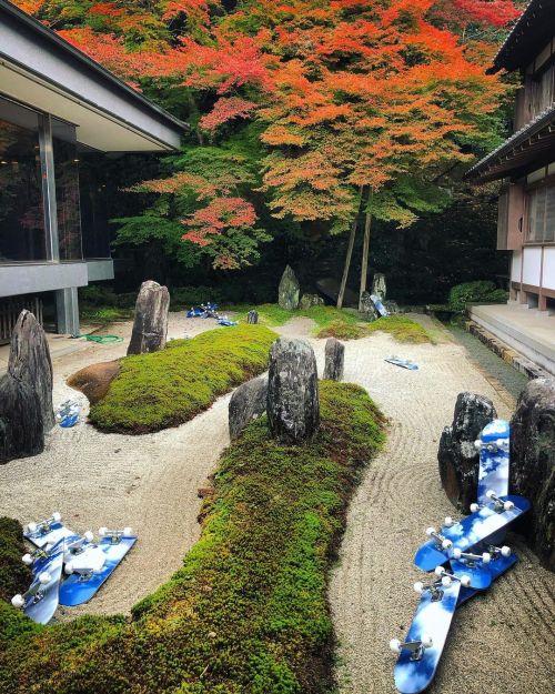 泉涌寺妙応殿庭園“仙山庭” [ 京都市東山区 ] Sennyuji Temple Honbo Garden, Kyoto の写真・記事を更新しました。 ーー12月5日(日)まで