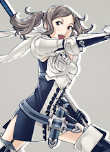 lvl40:  Fire Emblem: Awakening: Favourite Ladies 