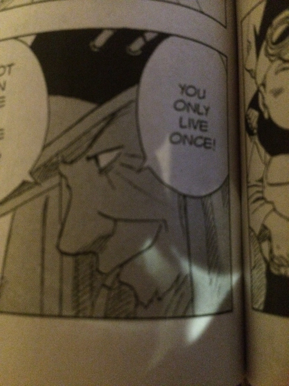 uchihafuck:  4chanisbetter-than:  Turn up, Lord Hokage  YOLO 