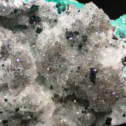 Green Clinoatacamite crystals on druzy Selenite on Chrysocolla - El Tesoro Mine, Sierra Gorda, Antof