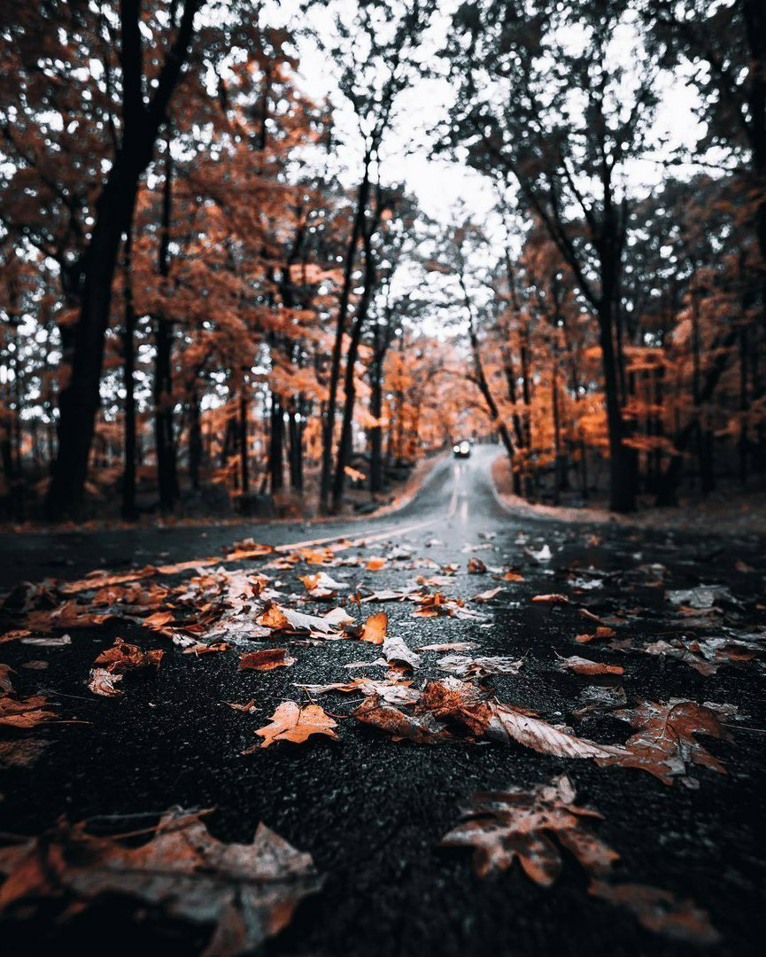 Coffee on a Fall Day