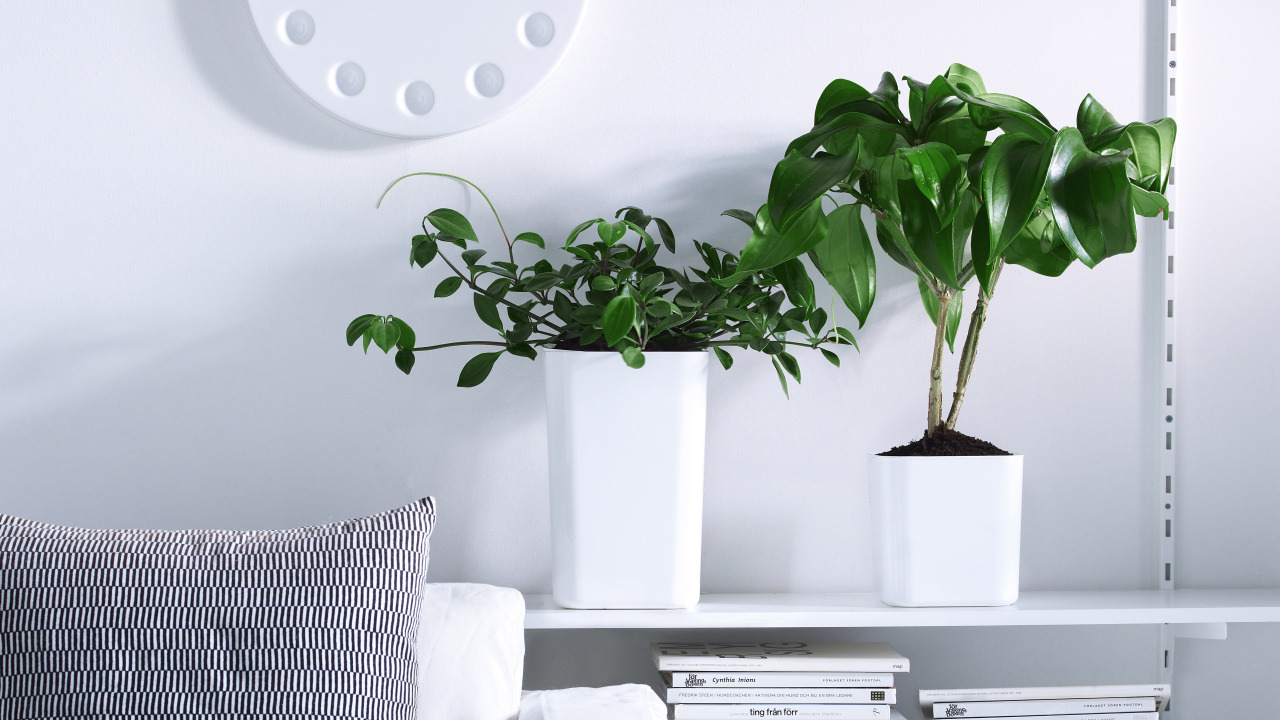 nothingtochance:  Piece of Eden self-watering pots / PENTAGON DESIGN