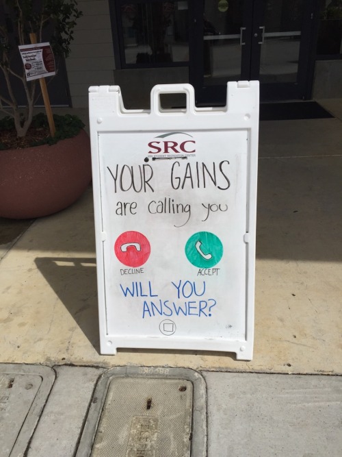 princess-from-the-moon:  eatcleantrainharder:   So there’s a guy at my gym who draws these on a weekly basis and I don’t want it to stop Part 6   hadoyastopthis I think you”ll enjoy this