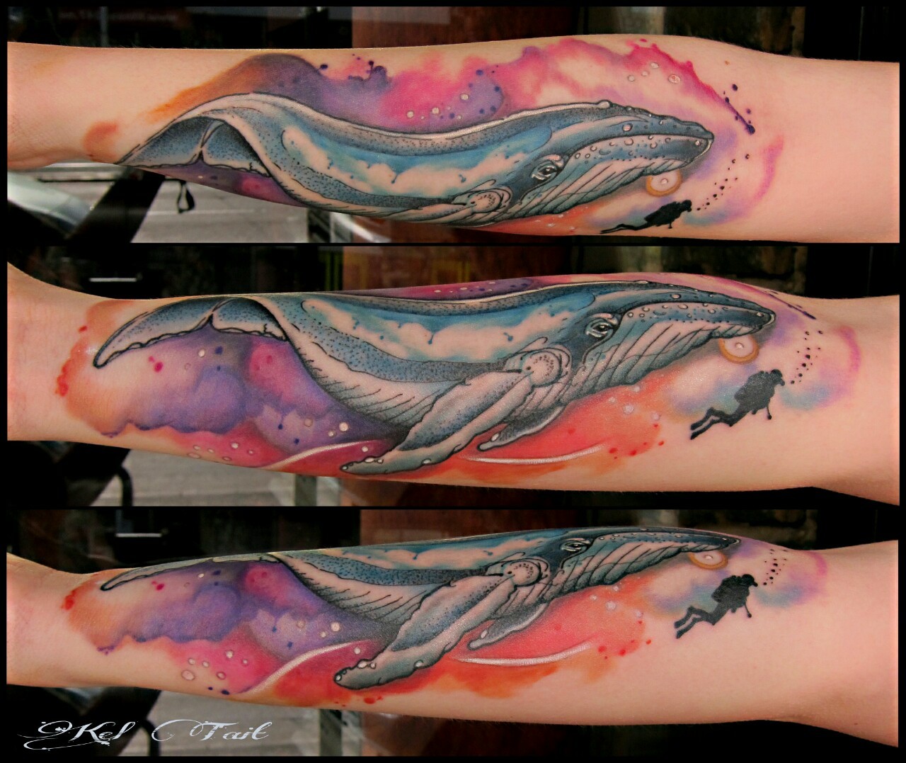 Rujanee In Space  on Twitter Contemplating another tattoo which one  you say tattoo whaletattoo whales oneisnotenough tattooart  httpstco8y6W5e9rib  Twitter