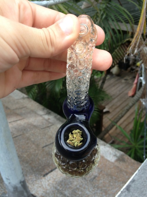 sour-d1esel:  Last smoke sesh with Richard, my friend took him to his new home a few days ago. See y