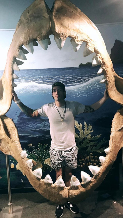 fairly-athletic-pilots:so josh went shark diving today