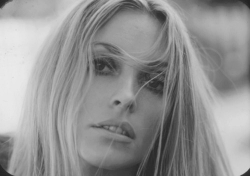 lily-laurent:Sharon Tate photographed by