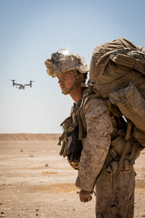 U.S. Marines with 3rd Battalion, 7th Marine Regiment, 1st Marine Division - attached to Special Purp