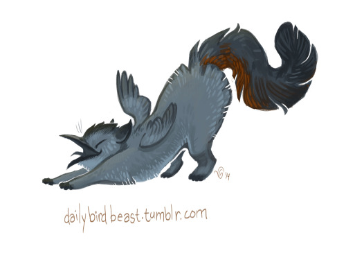 dailybirdbeast:Grey catbird.(Suggested by couther… kind of an obvious beast, but I had to!!!)