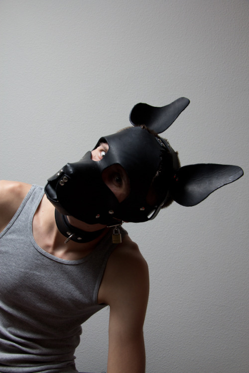 XXX bearconcentrate:  simplekink:  WOOF, I am photo