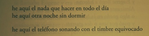 eljujeniodeletras:  Charles Bukowski