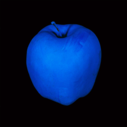 Museumuesum:  John Baldessari  Millenium Piece (With Blue Apple), 1999, Iris Print,