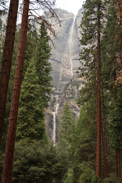 Yosemite national park, Waterfall, United States