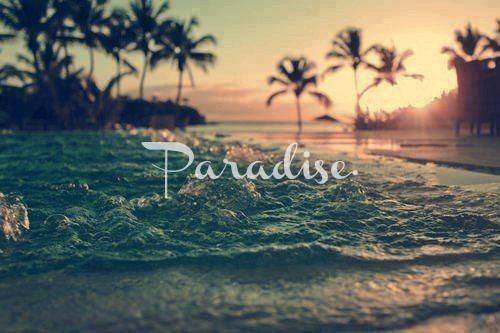 tumblr. en We Heart It. http://weheartit.com/entry/69560011/via/AhmedZidan