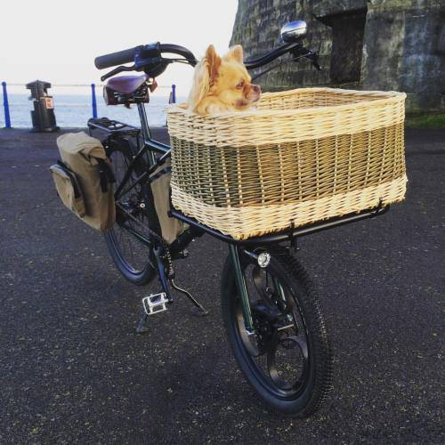 svencycles:  Relaxing #madeinengland #dorset##cargobike #steelisreal