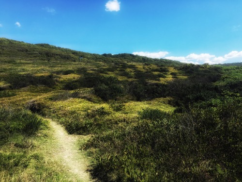 Went for a bushwalk through Glenrock State Conservation Reserve with Maxwell. Pretty shady forest vi