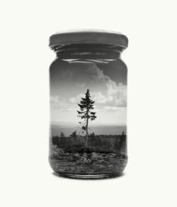 thedesigndome: Landscapes Trapped In Jars In Surreal Photographic Exploration Photographer  Christoffer Relander revisits the past -  from the essential memories of his childhood in Finland through the perspective of a classic container - the mason