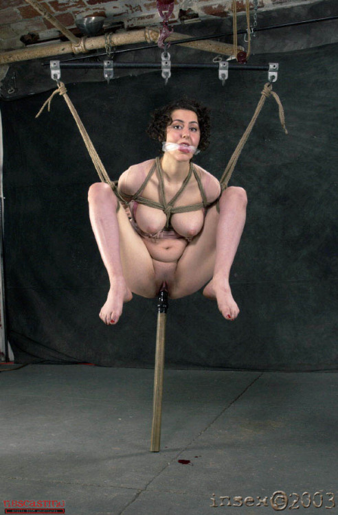 thedarkmindedone:  Suspended in mid-air, she begged me to let her down. I decided that she was not yet finished (or I wasn’t finished — the end result is the same!). I took her favorite dildo, attached it to a wooden pole, then eased her her suspended