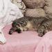 onionrimgs:tomatomagica:tomatomagica:SQUISHING HERthey are soggySequel: Squishing