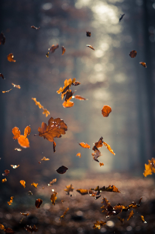 imperfection:  FORLUCKY - ♡ Photographys blog, I follow back 1OO% ♡    