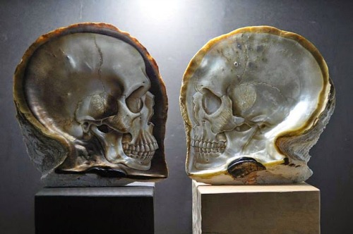 slavejpain: xtoxictears:  asylum-art-2:  Gorgeous Mother of Pearl Shell Skull Carvings by Gregory Ra