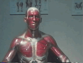 108d0e5b3e3626c6f530d9dc05f9d5e73a8ca38e.gifv