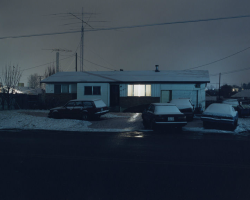 botanize:  Todd Hido 