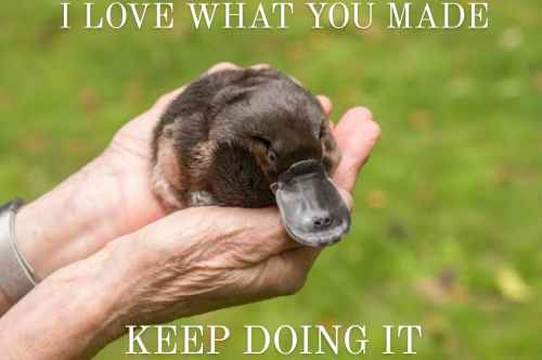 Here's A Support Platypus For You