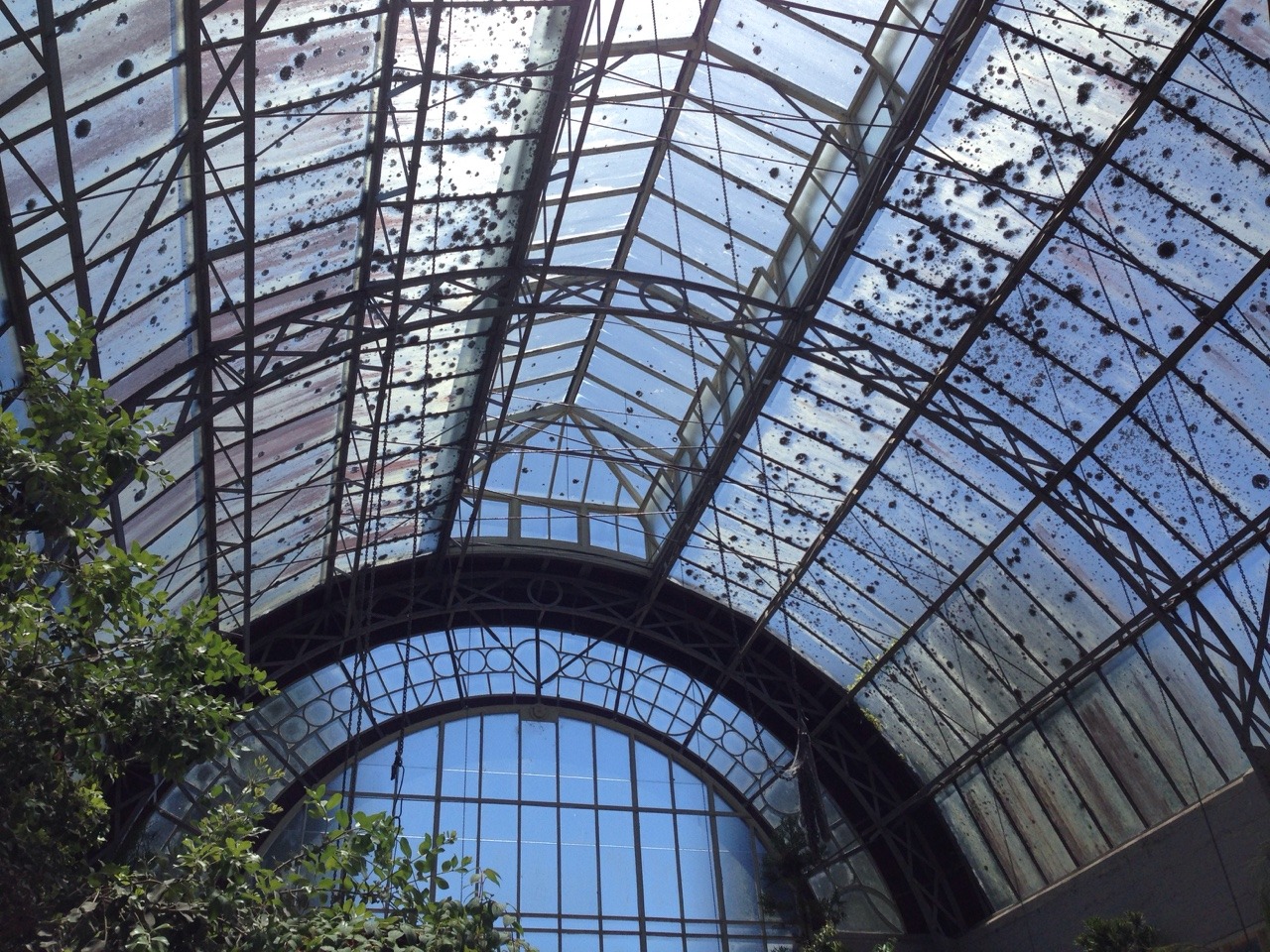 ethxrealism:  Today was magical going to the auckland gardens 