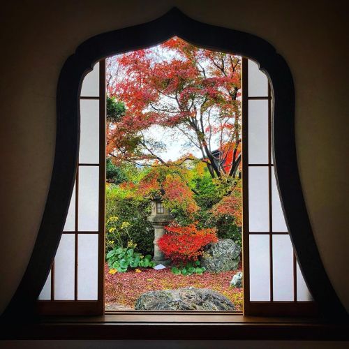 東福寺 天得院庭園 [ 京都市東山区 ] ② Tofukuji Tentokuin Temple Garden, Kyoto ーー桃山時代に作庭された一面苔の枯山水庭園にキキョウが咲きほこる #桔梗の