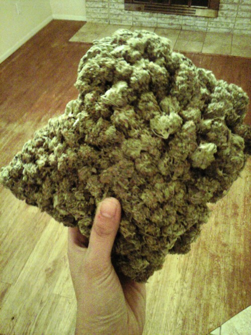 happylittlestoner-raver:  half pound. 