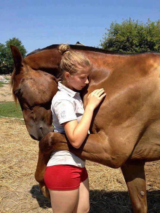 The Horse Whisperer &amp; The Ass Grabber Facebook orgasmpics.org randomsexygifs.com