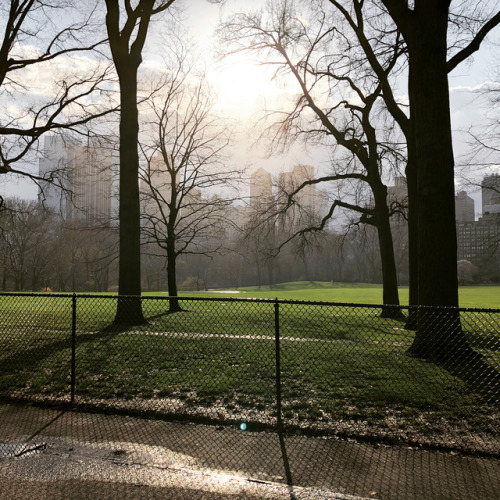 Happy Earth Day!! #earthday2018 #centralpark #newyorkcity #vacation #nature #trees #thegreatoutdoors