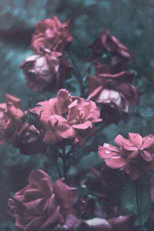 Lotovintage