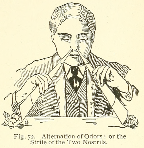 nemfrog:  Fig. 72. Strife of the Two Nostrils. Thinking, feeling, doing. 1895.Internet Archive