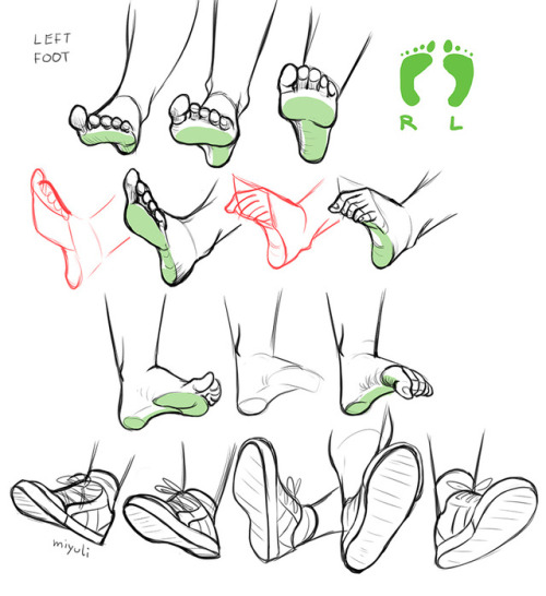 miyuliart: Feet studies (own feet used as reference)