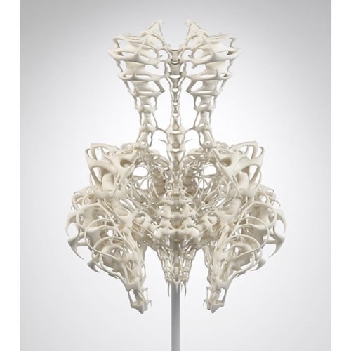 Iris van Herpen | c. 2011⠀ ——⠀ “This dress visualizes the inside of the body outside, To me it repre