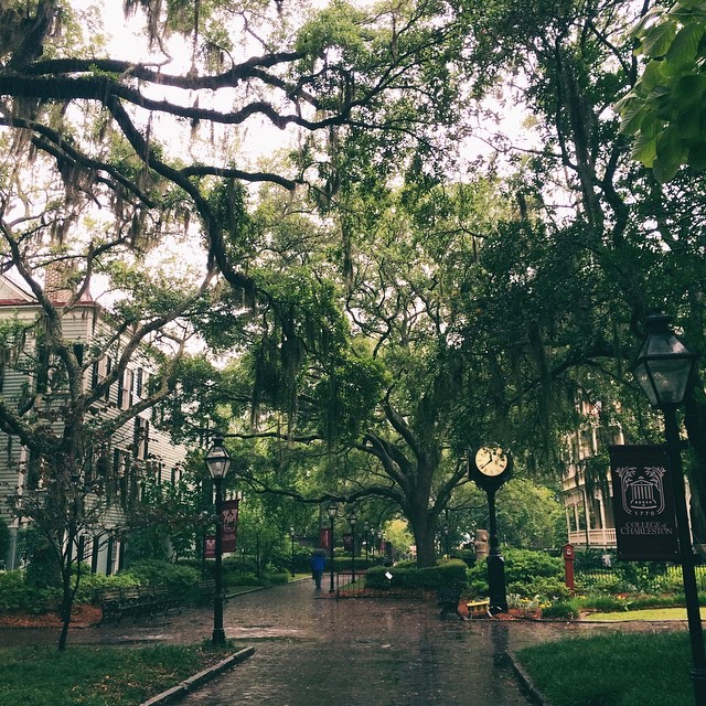 aurora-rain:  the college of charleston campus is probably the most beautiful thing