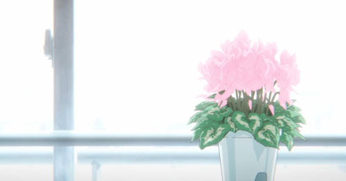 if-you-see-a-stranger:Koe no Katachi + Flowers