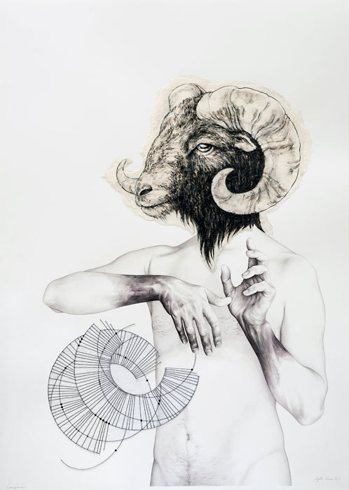 Illustrations by Agata Kawa